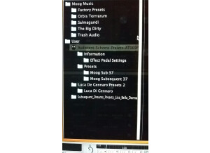 Moog Music SUB 37 (35700)