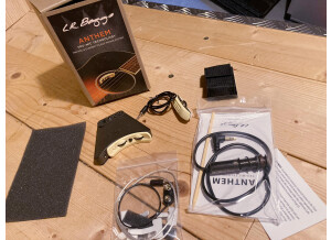 L.R. Baggs Anthem (55643)