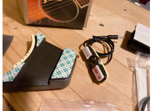 L.R. Baggs Anthem (60608)