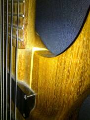 Peavey Grind Bass 5