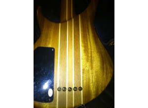 Peavey Grind Bass 5c NTB