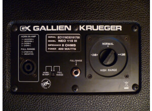 Gallien Krueger [Neo Series] Neo 115-III