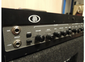 Ampeg B-5R (76331)