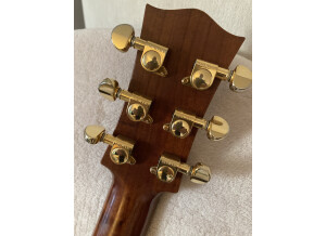 Maton Mini Maton Diesel Special EMD/6 (56723)