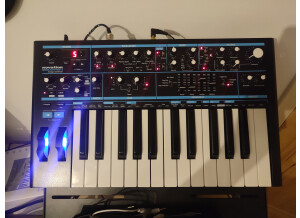 313781905 843892326791968 7436484431229635723 n