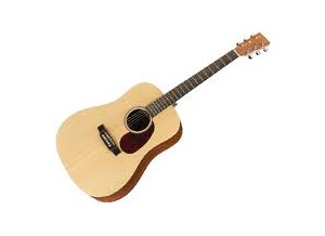 Martin & Co serie DX1RAE natural