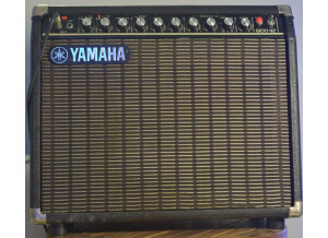 Yamaha G100-112 II