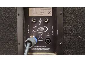 Peavey Pro 12 Passive