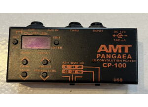 Amt Electronics Pangea CP-100 (1760)