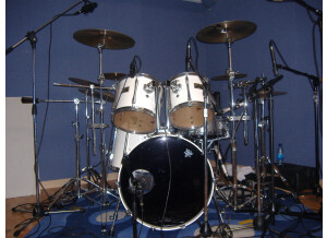 Pearl BLX 5 Shells (59680)