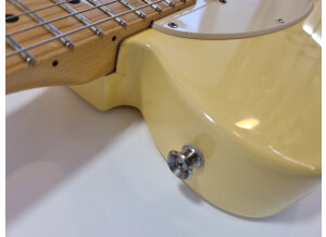 Fender Tele-Bration Empress Telecaster (9886)