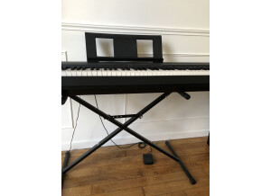 Yamaha P-45 (9048)