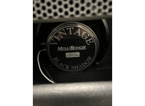 Mesa Boogie Express 5:25 1x10 Combo  (38087)