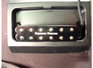 Seymour Duncan SL59-1N Little '59 Neck