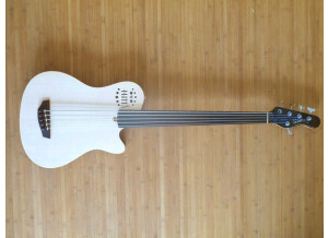 Godin A Series - A5 Fretless SA 5c