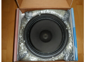 Mesa Boogie Black Shadow C90 (67875)