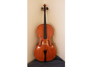 Cello front 1 (2)