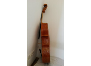 Cello side 1 (2)