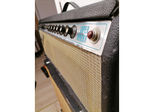 Fender Super Reverb "Silverface" [1968-1982] (83830)