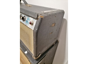 Fender Super Reverb "Silverface" [1968-1982] (33770)