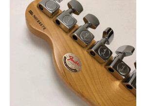 Fender American Standard Telecaster [1988-2000] (44733)