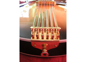 Gibson Howard Roberts Fusion III (17504)