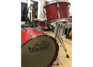 Remo Masteredge (97053)