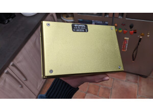 Strymon Volante (7593)