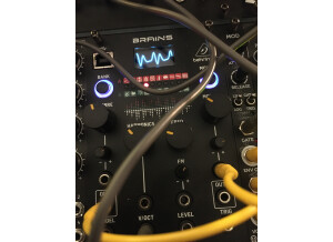 Behringer Brains (65626)