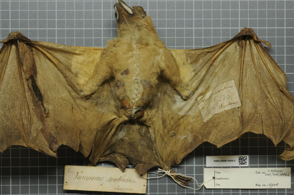 5073376.jpeg 5073376.jpeg