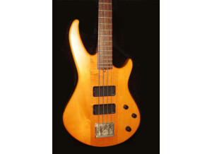Godin BG-4 Bass (83443)