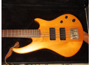 Godin BG-4 Bass (59973)