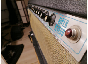 Fender Super Reverb "Silverface" [1968-1982] (69691)