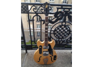 Goya Guitars Range Master