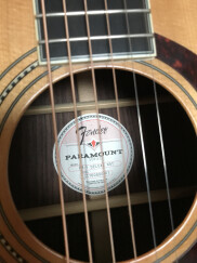 Fender PM-1 Deluxe Dreadnought