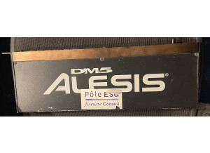 Alesis DM5 (8900)