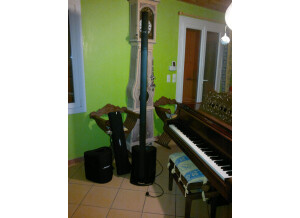 Bose L1 Compact portable