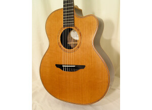 Avalon Guitars A25J (11455)