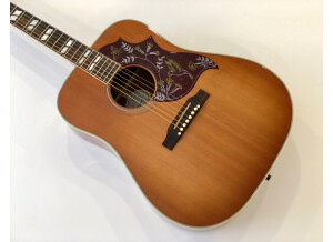 Gibson Hummingbird (82548)