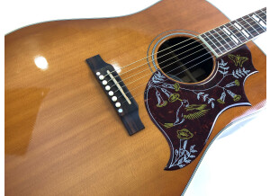 Gibson Hummingbird (11360)