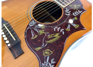 Gibson Hummingbird (31007)