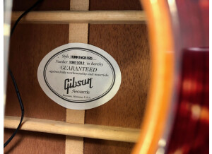 Gibson Hummingbird (94886)
