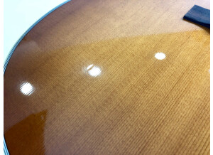 Gibson Hummingbird (38977)