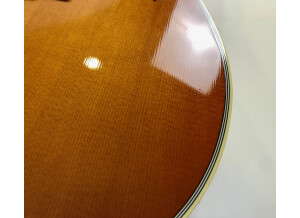 Gibson Hummingbird (36510)