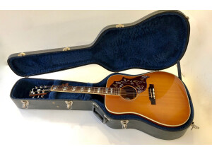 Gibson Hummingbird (22709)