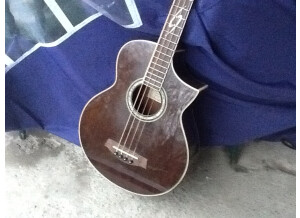 Ibanez Basse acoustique