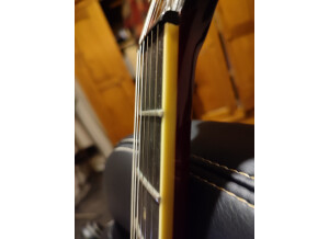 Harley Benton BM-75 (55827)