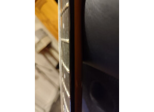 Harley Benton SC-Special (92613)