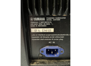 Yamaha DSR118w