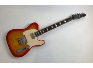 Nash Guitars T63 (14680)